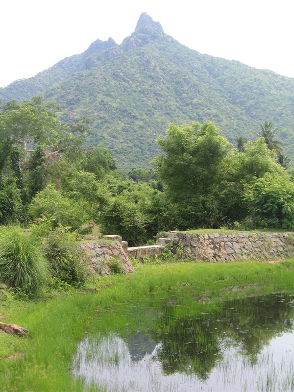 The mountain as seen from the bottom